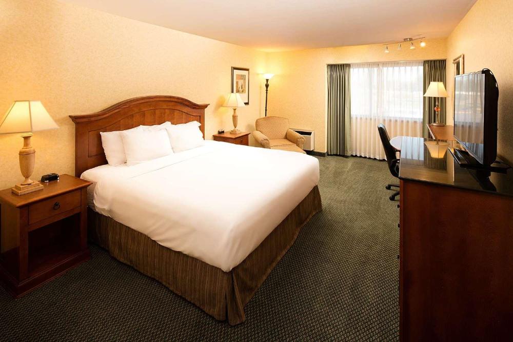 Premium King Room interior